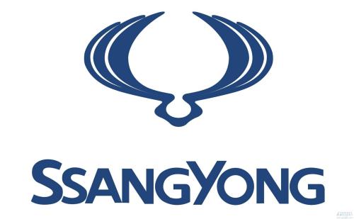 双龙汽车破产保护,双龙汽车还破产吗