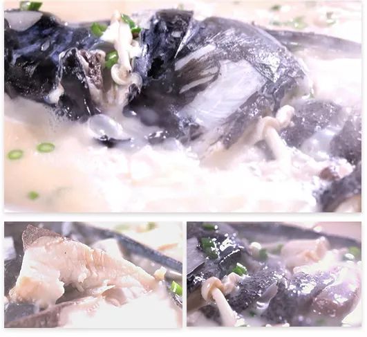 在合肥也能吃到地道的重口味,合肥好吃的鱼头1912