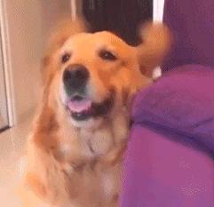 宝宝老揪眼睛怎么回事,宝宝总是摇头抓耳朵怎么回事