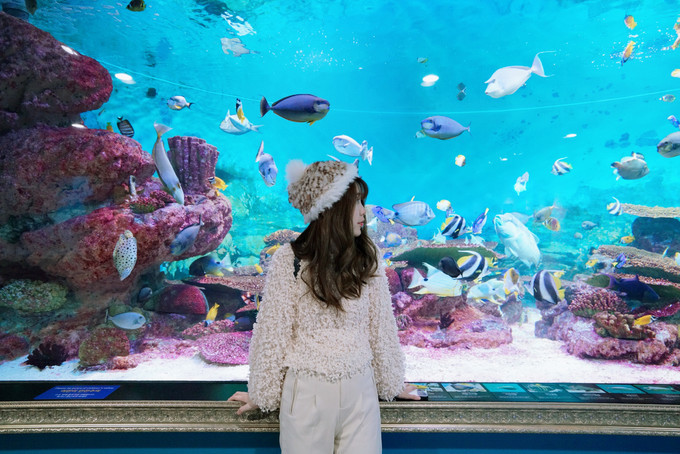 去韩国必买清单,韩国购物攻略衣服