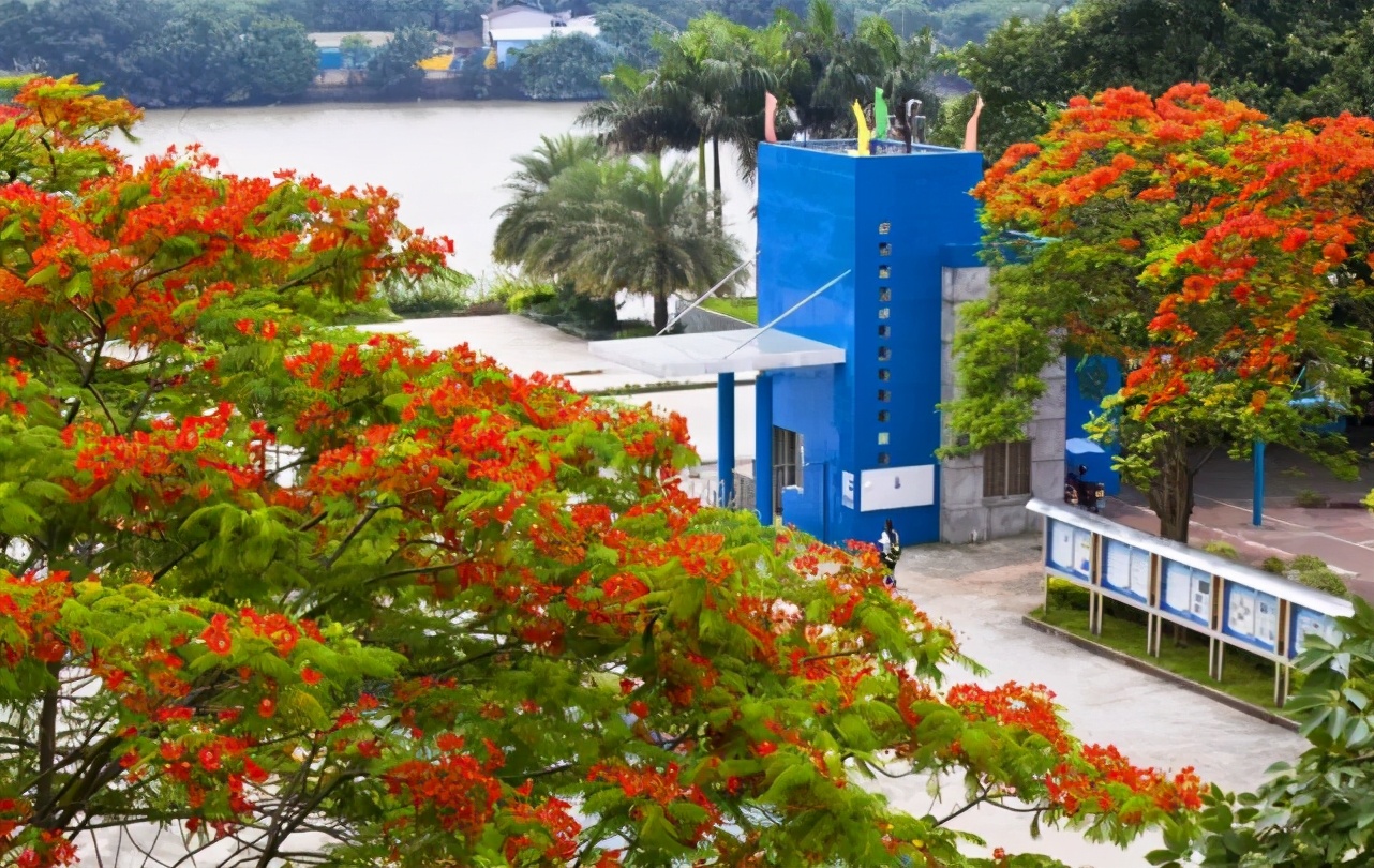 广州市第六十五中学2021高考,广州市第七十五中学招生计划