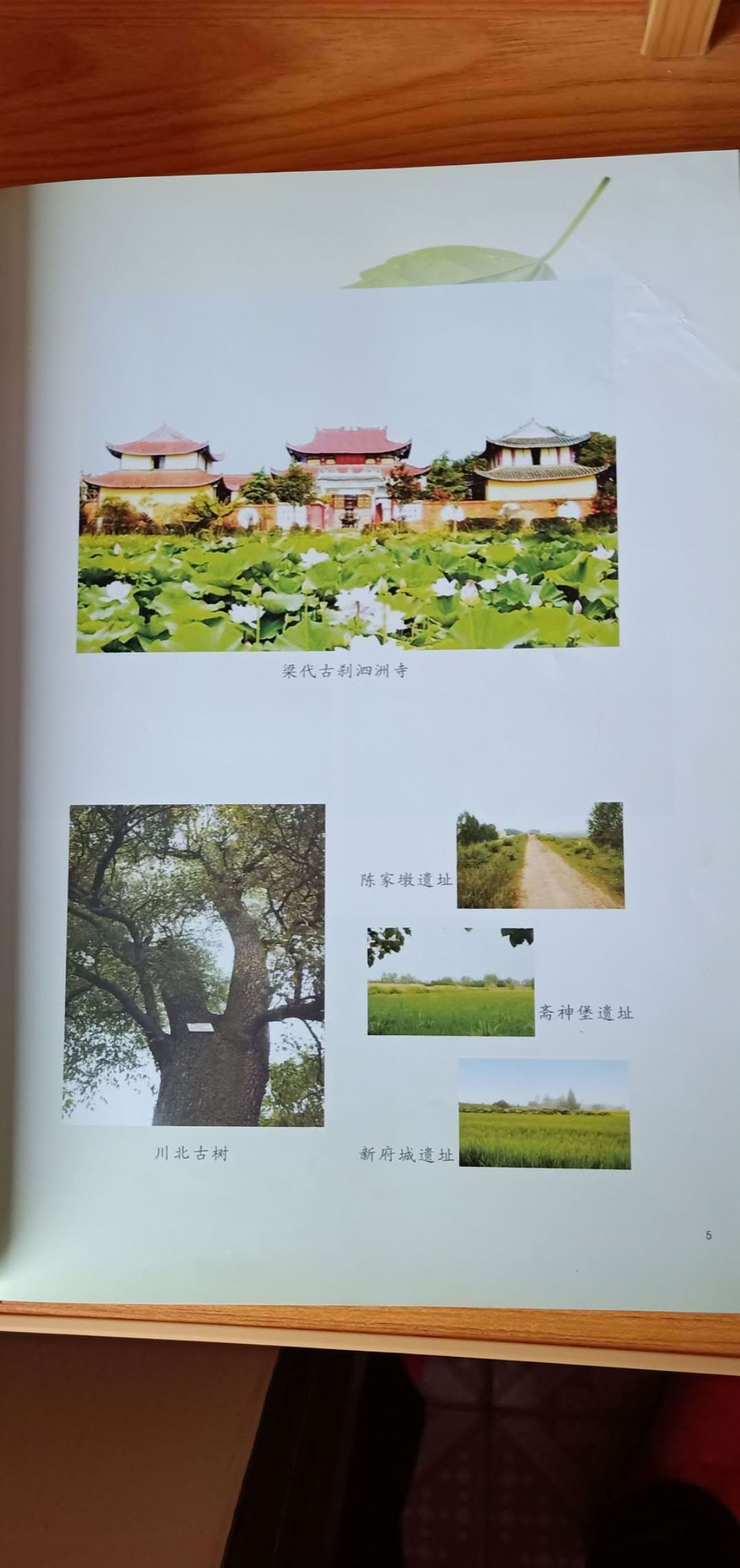 《下辛店镇志·文化》,学校体育·连载170