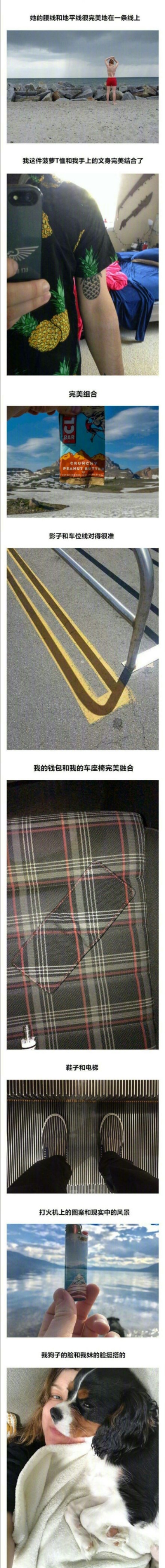 治愈强迫症的14张图,看完你就知道有多么治愈了