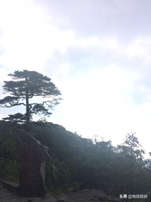 炮哥游山视频全集,炮哥游记