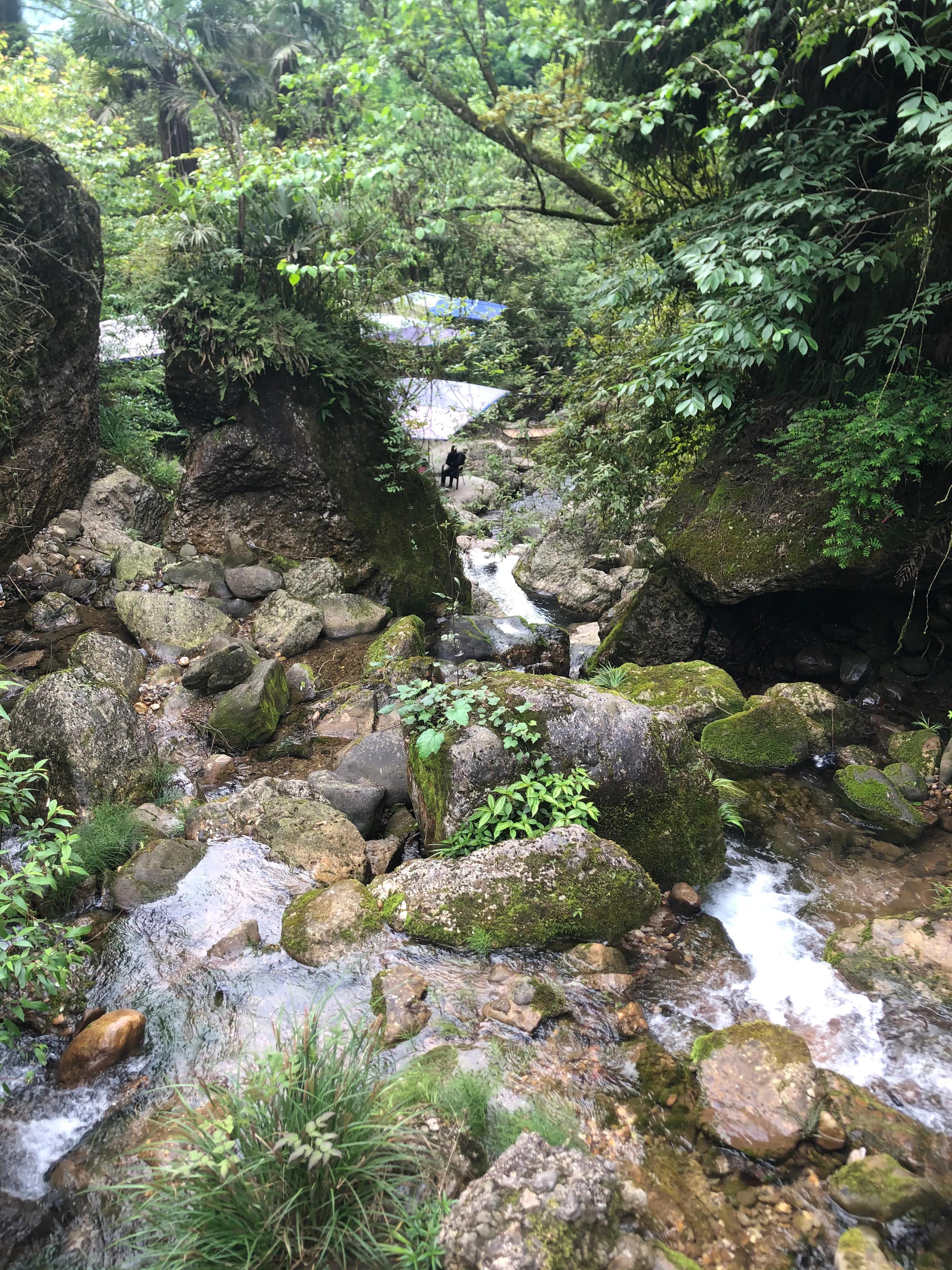青城山后山一日游耍水攻略,青城山后山最值得去的地方