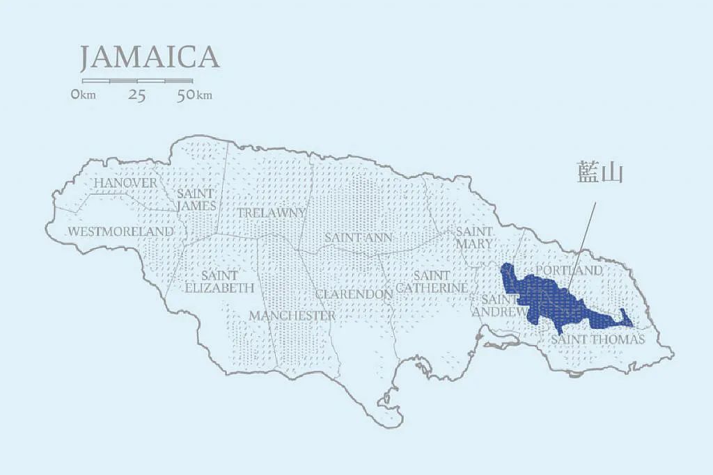 蓝山咖啡真的有减肥的效果吗,蓝山咖啡真的几百块一杯