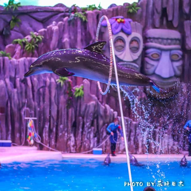 来珠海旅游必打卡的景点,春节珠海亲子游玩地方推荐