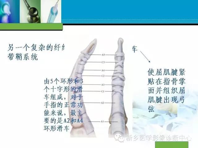 单只手指磁共振,手指用磁共振能做出来结果吗