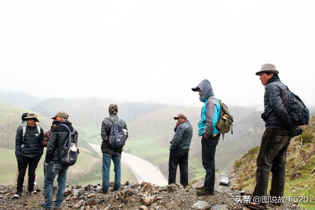 最好的虫草10斤虫草价值多少,正宗西藏鲜虫草多少钱一斤