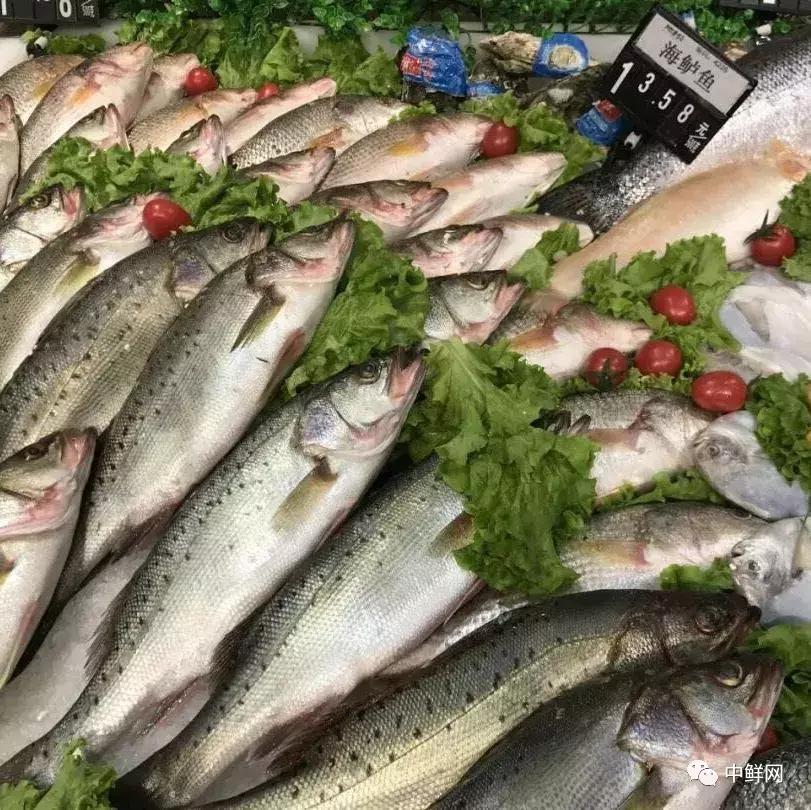 中秋营销水产篇，如何稳中求胜创佳绩？