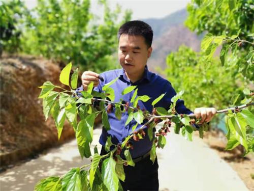 国妆美白淡斑,汉方内调养颜方案