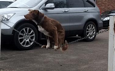 为啥加油站月薪两千还没人辞职,加油站上班工作强度大吗累吗