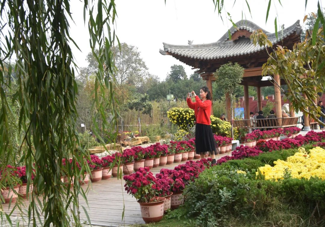 淮阳太昊陵龙园,太昊陵龙园