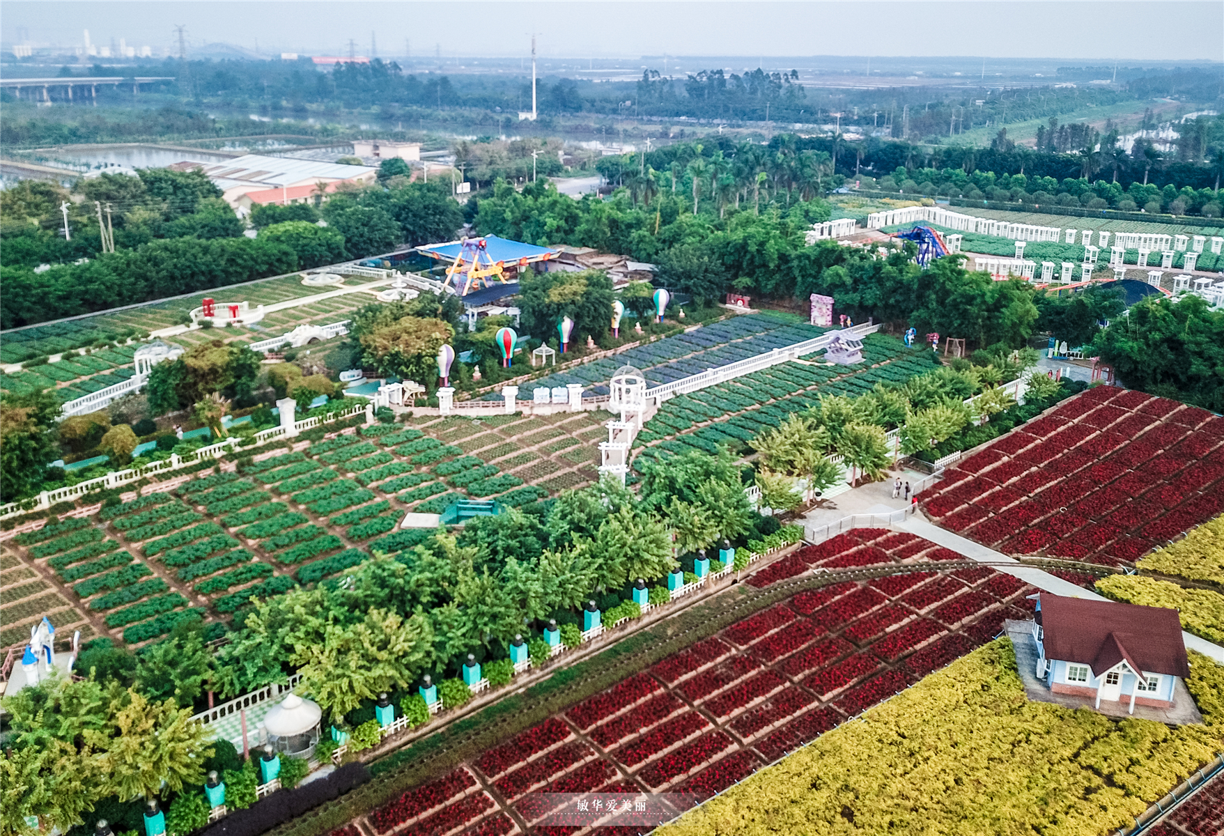 百万葵园攻略地图大全,百万葵园游玩注意事项