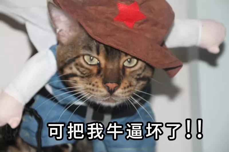 肯德基与麦当劳他们俩之间的故事,肯德基麦当劳背后的男人