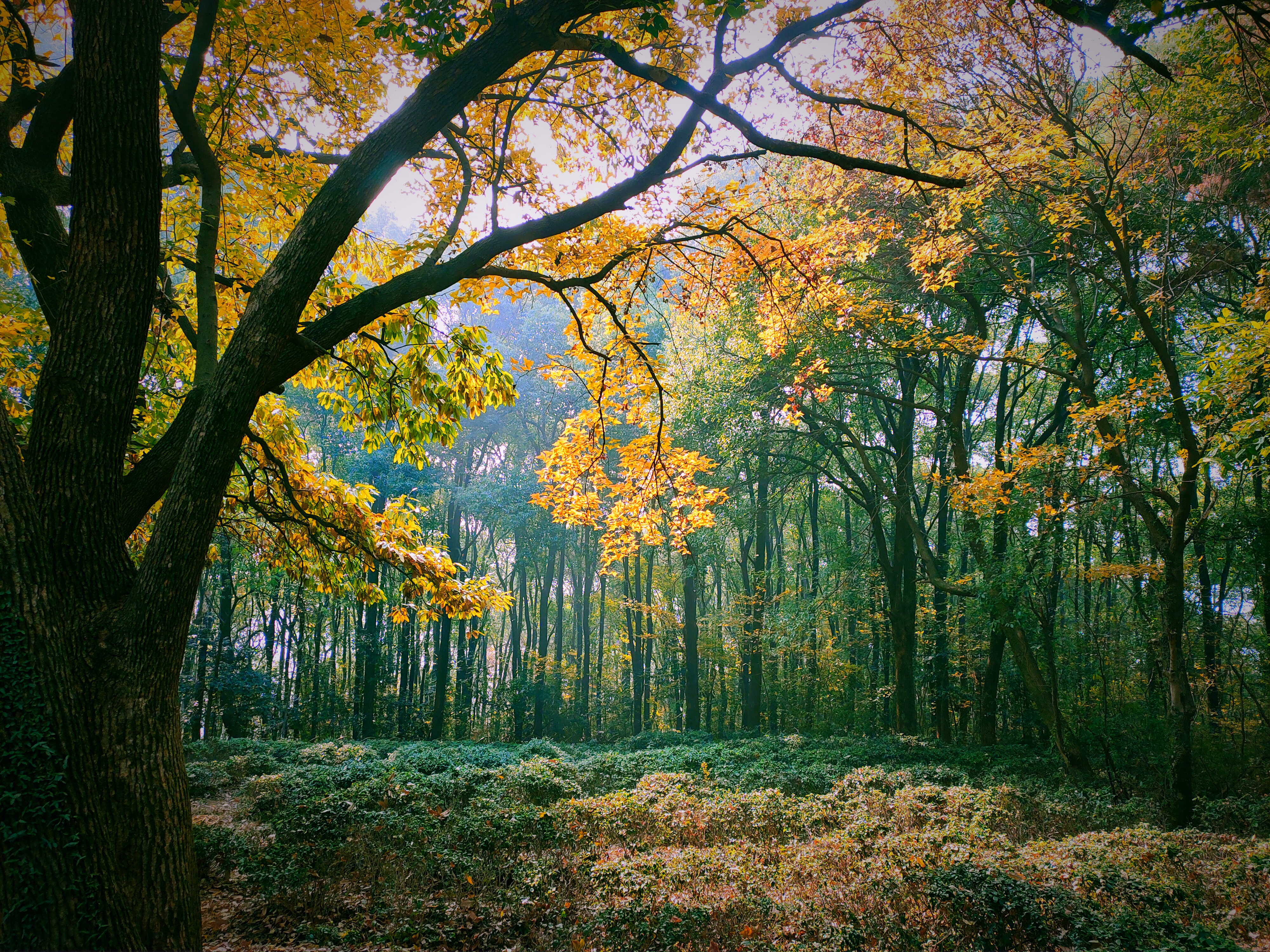 这条旅游线路被截断,让苏州人很苦恼,现在终于打通了