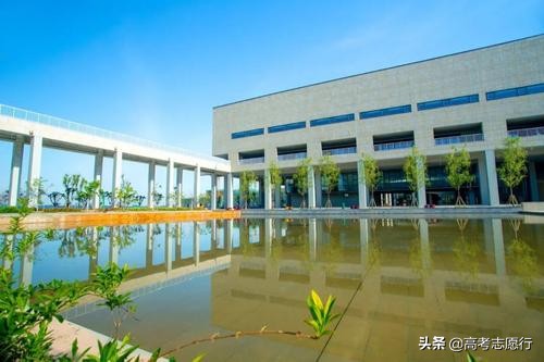 本科职业大学有什么不好,职业大学比普通本科好吗