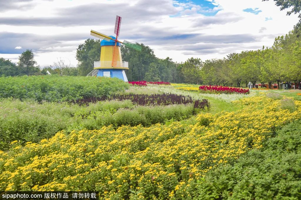 别错过京城这些公园已有别样风景,北京看花海最好的地方