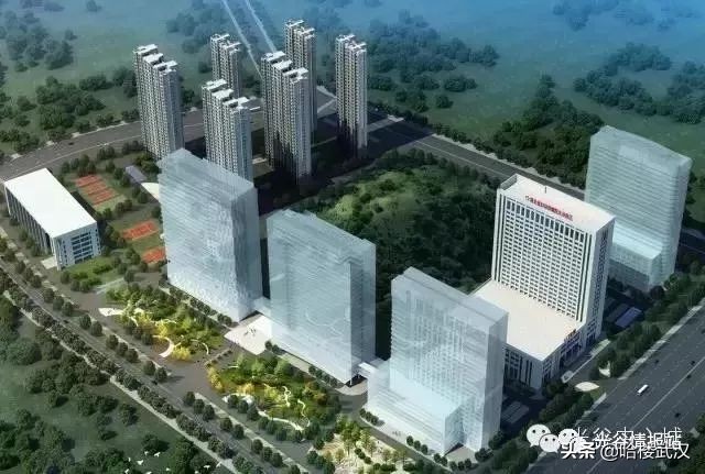 光谷这边有哪些三甲医院,光谷中心城有哪些三甲医院