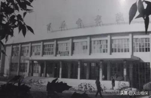 上榜啦！*疆新**鸟市和石市即将被国家命名！未来发展不可估量