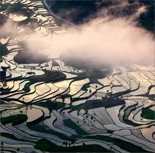 楠溪江为什么叫山水画摇篮,中国山水画林泉高致