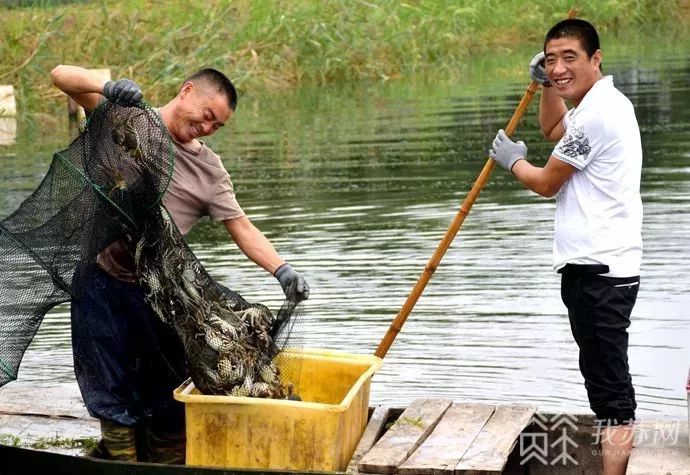 从边陲小镇到魅力之城的华丽转身,从产业地到产业高地的转变