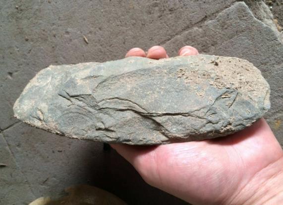 12万年前的人类脚印,200万年前就有人类足迹