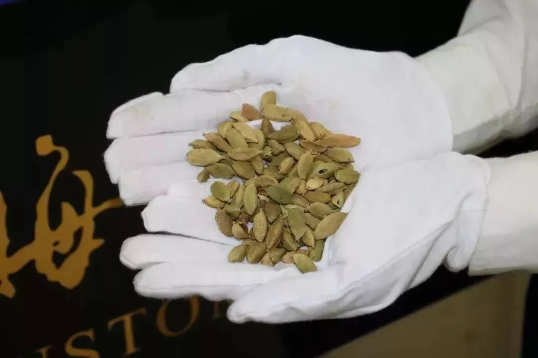 在香港生活必须注意的细节,在香港要注意的事