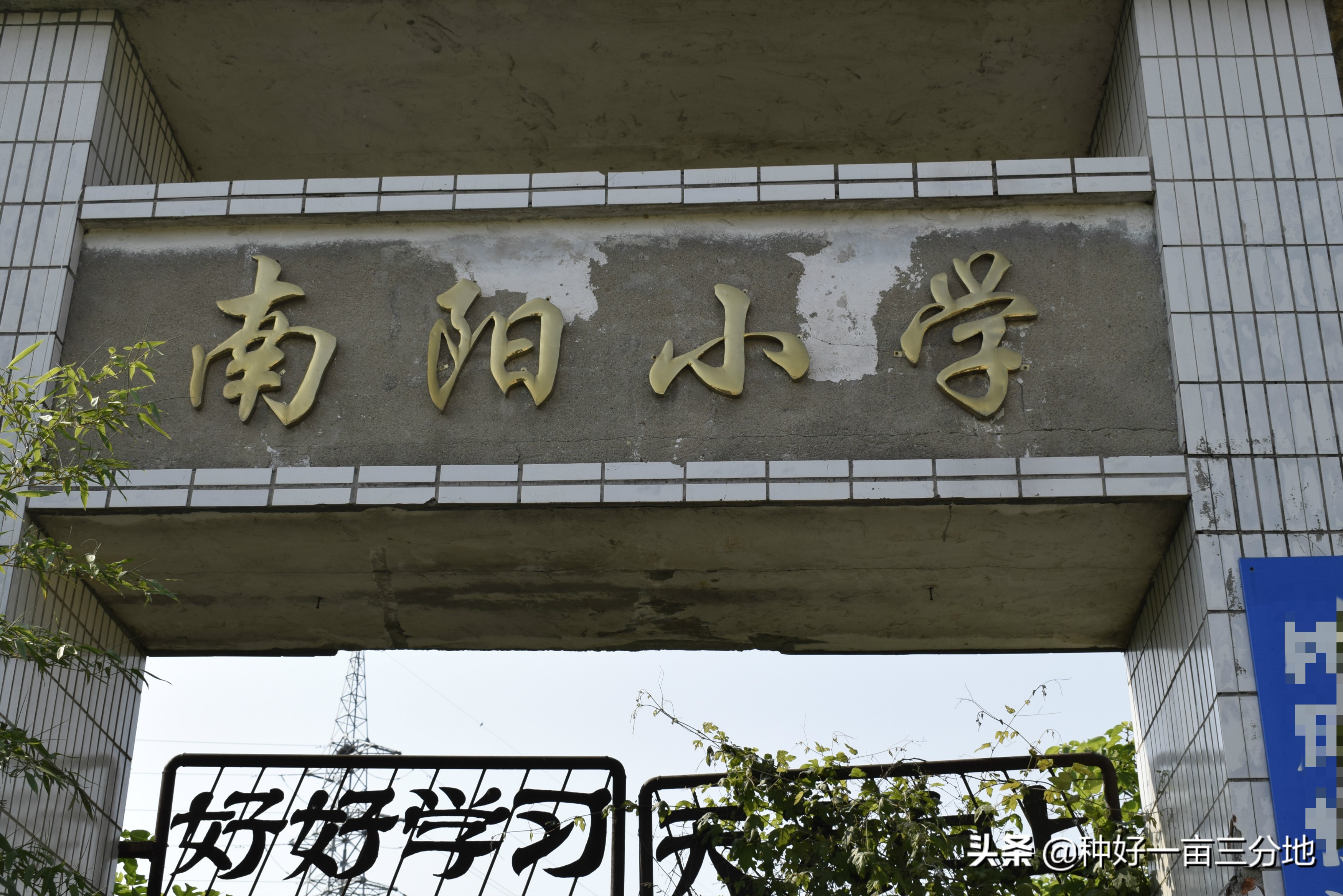 湖北的废弃小学,湖北荒废废弃学校