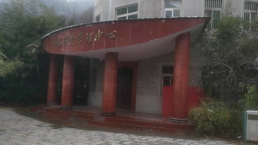 喝风辟谷治病的江湖,喝风辟谷能治好癌症吗