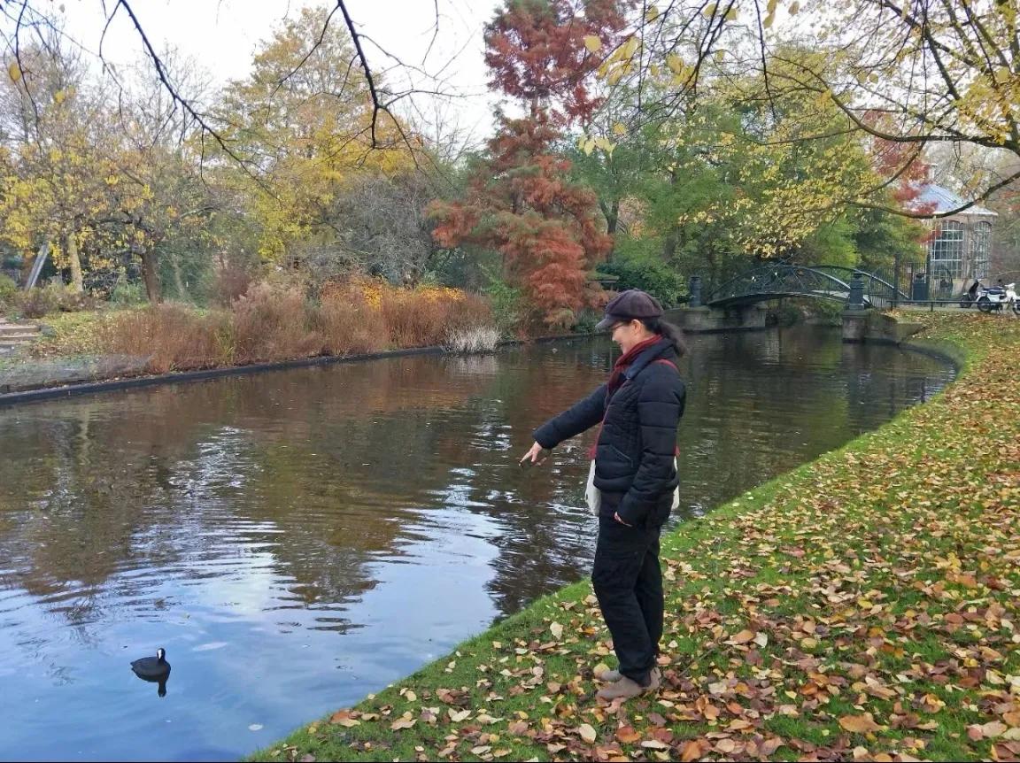 第一天去荷兰旅行,到荷兰的第一天