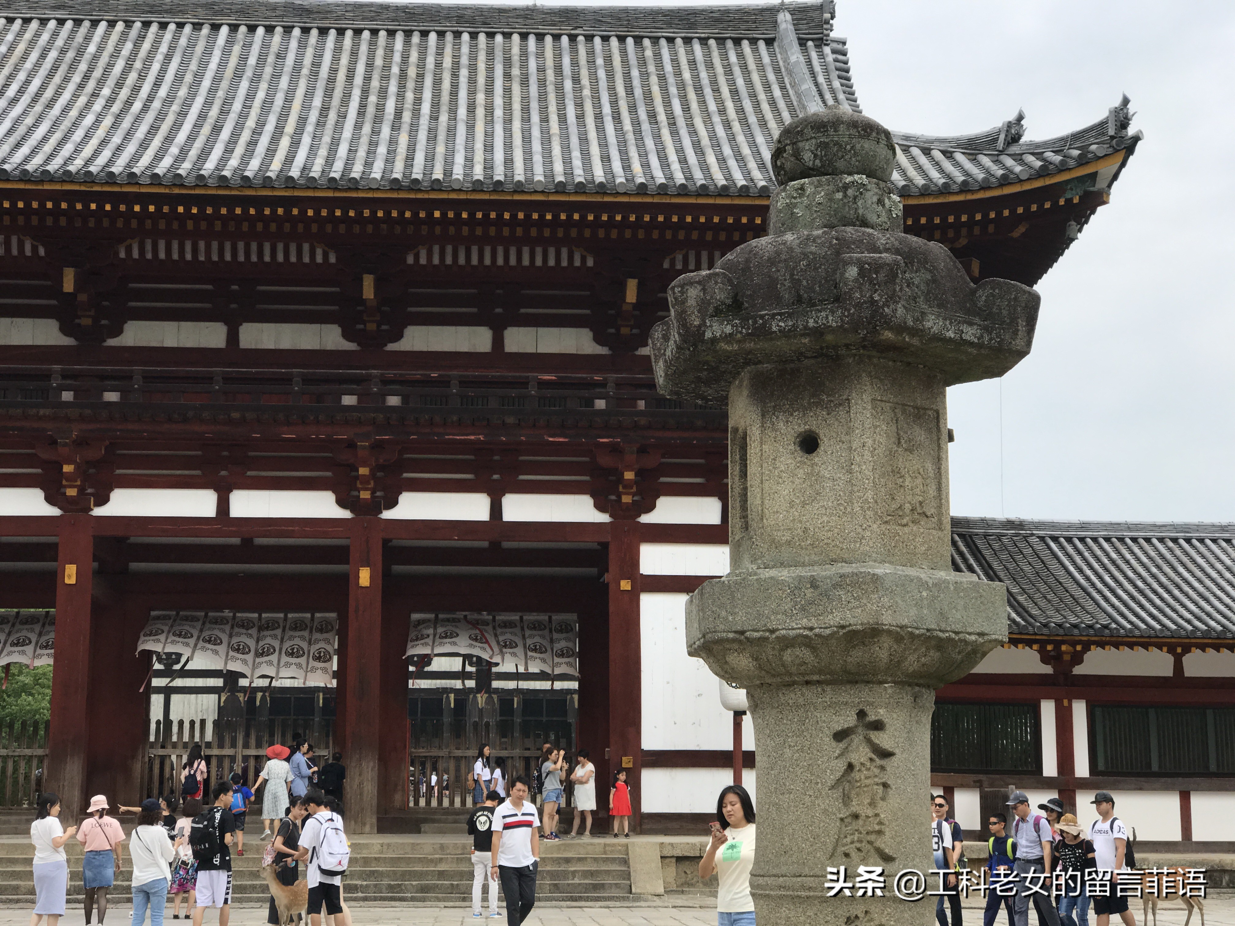 奈良东大寺大佛殿和太和殿,奈良东大寺位置地图图片