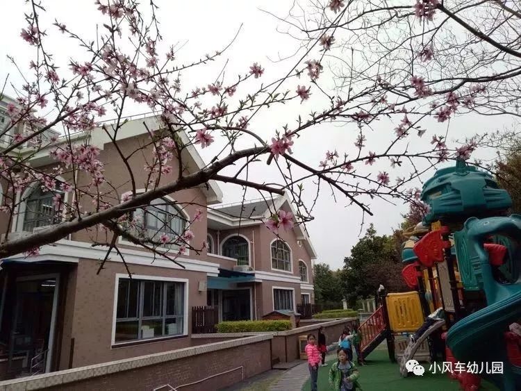 上海各区幼托班一览,上海浦东幼儿园托班学费多少