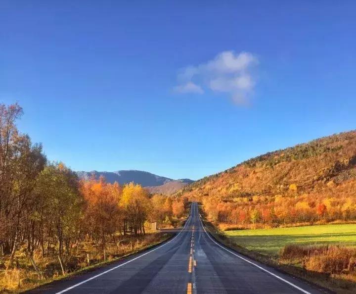 常用摄影构图方法,手机摄影构图