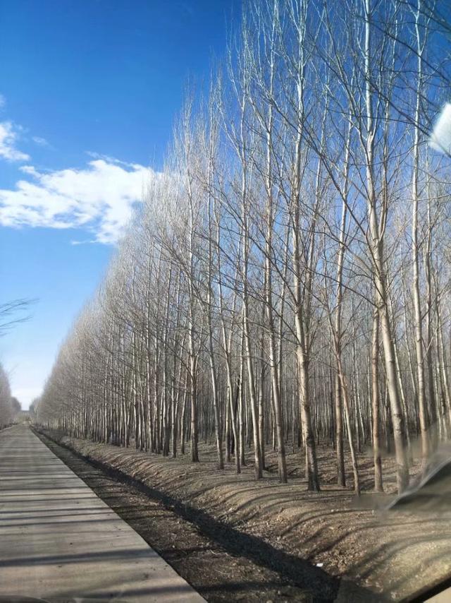烟雨重游太平湖,重游太平古城游玩攻略