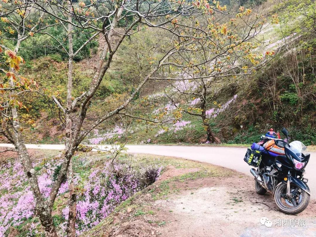 骑行中国麦田：第十二天，诺邓村