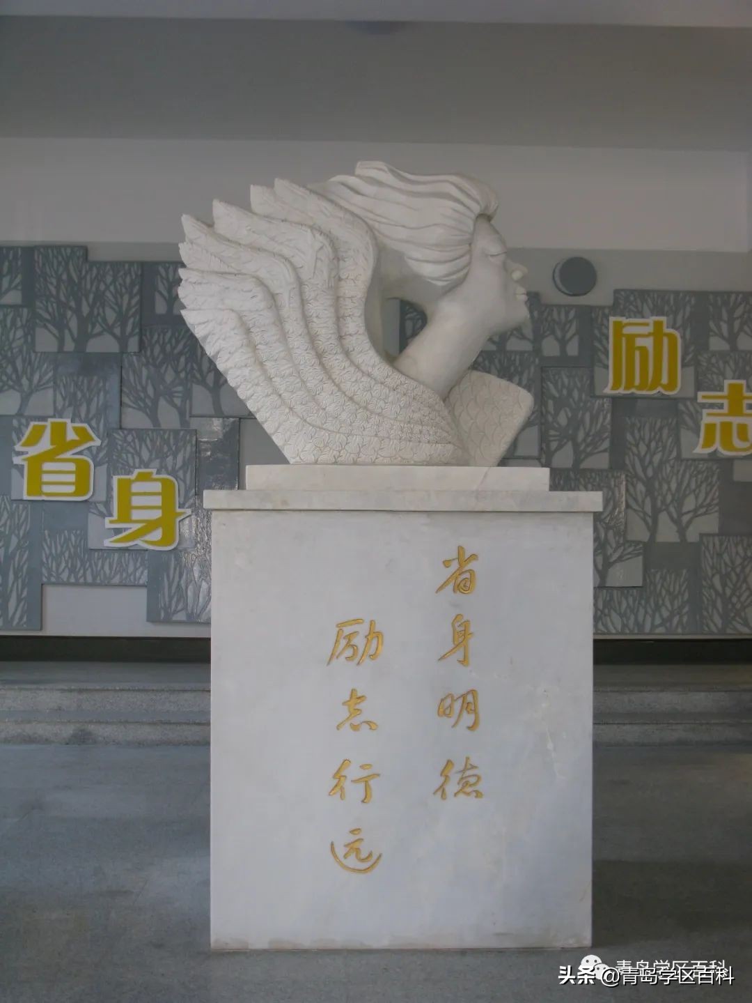 青岛市北37中对应的小学,青岛开发区四中学区划分图