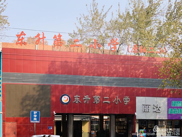 涧西牡丹广场老照片,洛阳牡丹手机拍照