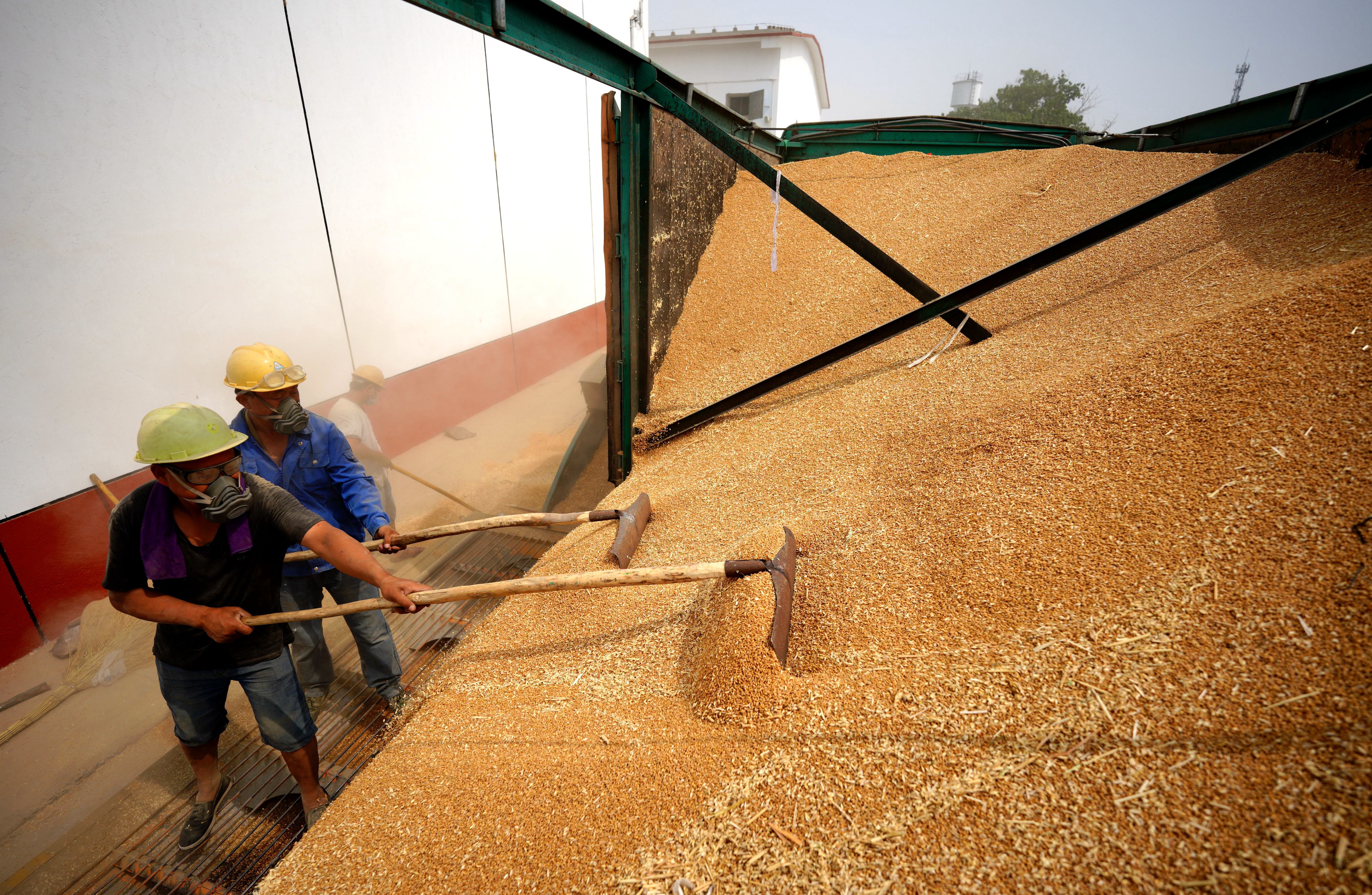 中国邢台头条,邢台新媒体头条