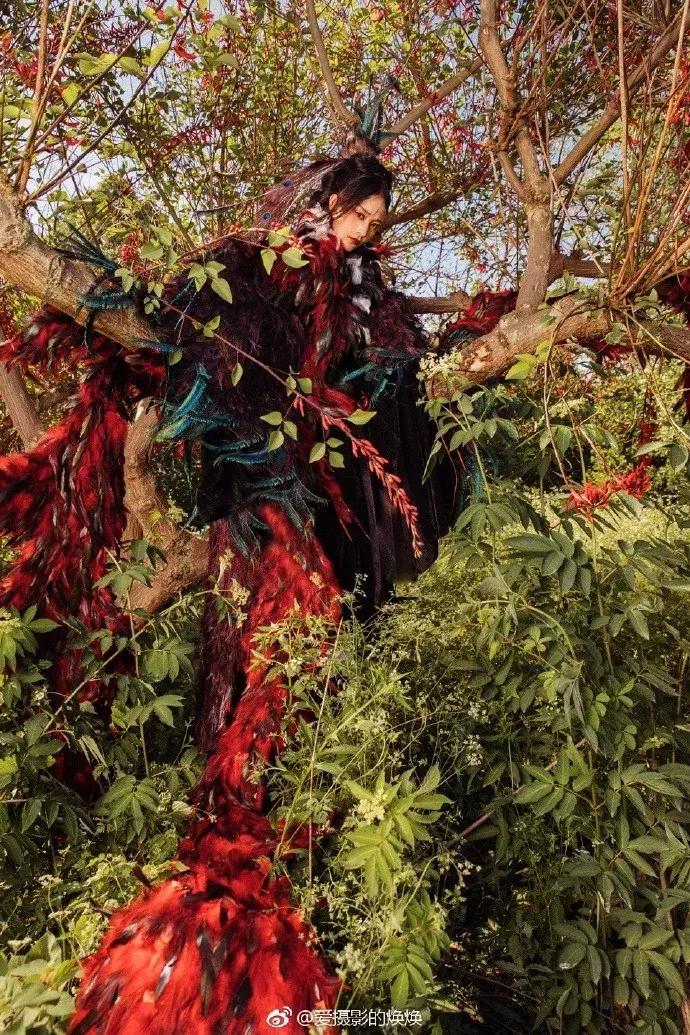 90后女孩拍稀有动物,90后女孩拍视频200万