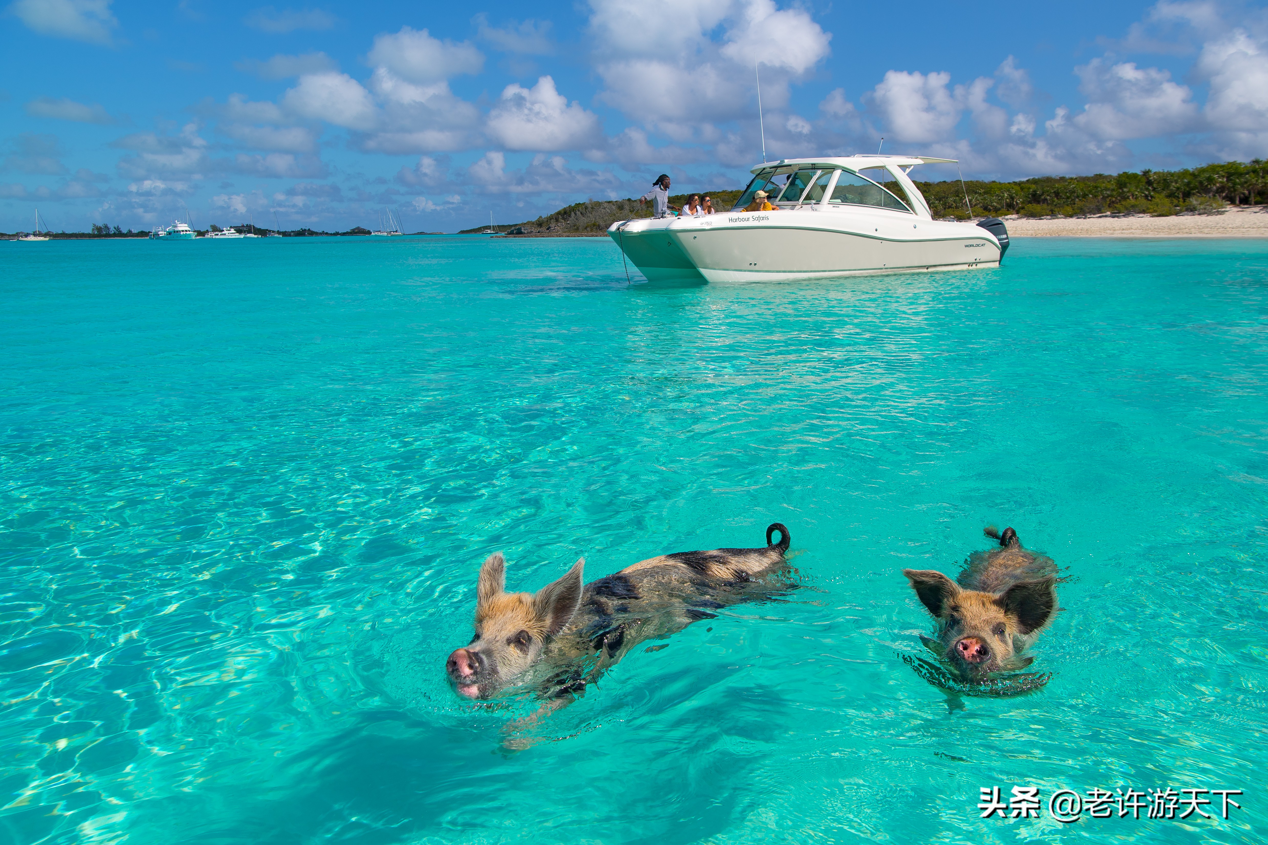 世界有名的海岛旅游胜地,世界10大最奇特海岛