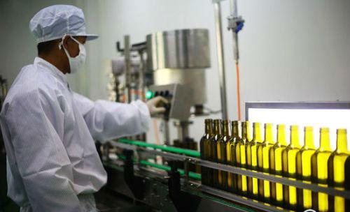 牡丹籽油哪个品种最好,牡丹籽油为什么最贵