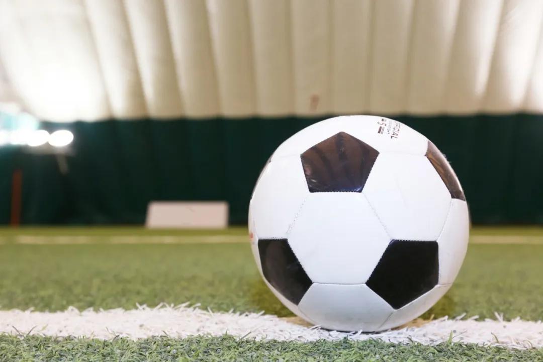 绘本5-6岁经典绘本苍蝇,最简单英文绘本苍蝇小子