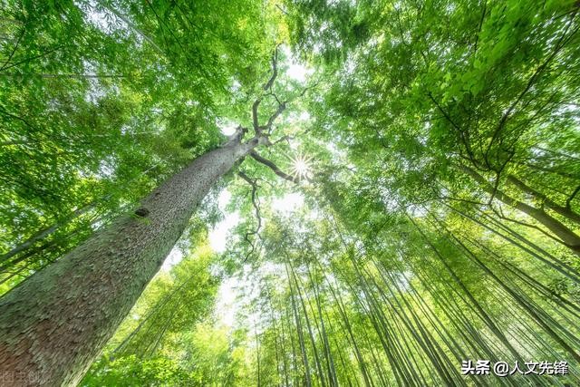 晋中哪个县有发展前途,山西晋中这个城市好吗