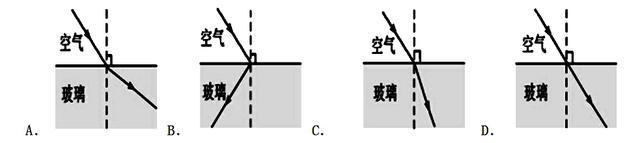 寒假物理八年级直播课,8年级暑假物理直播课程