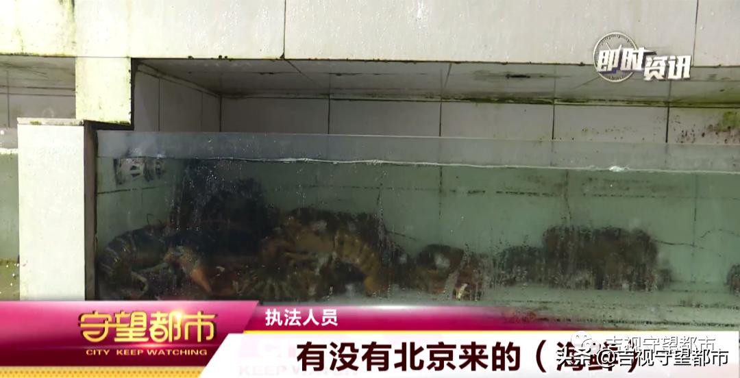 长春市严查水产批发市场,长春水产海鲜市场封了吗