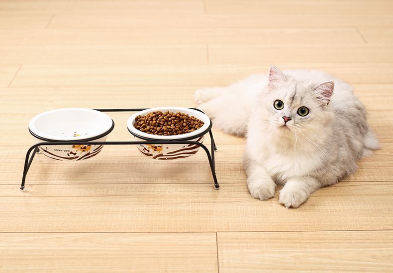 口碑最好的平价猫粮非广告,哪款平价猫粮好一些