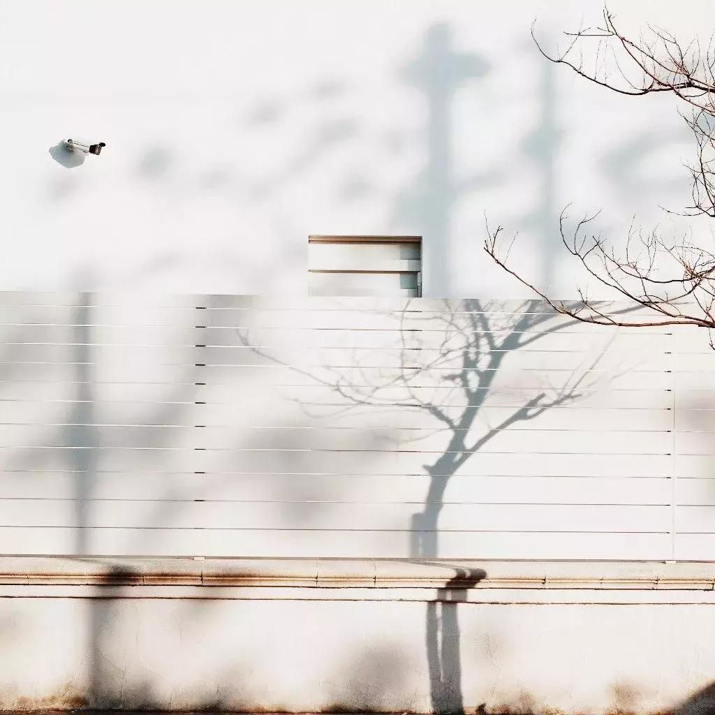 高圆圆产后首晒照身材恢复超好,高圆圆产后首次晒照