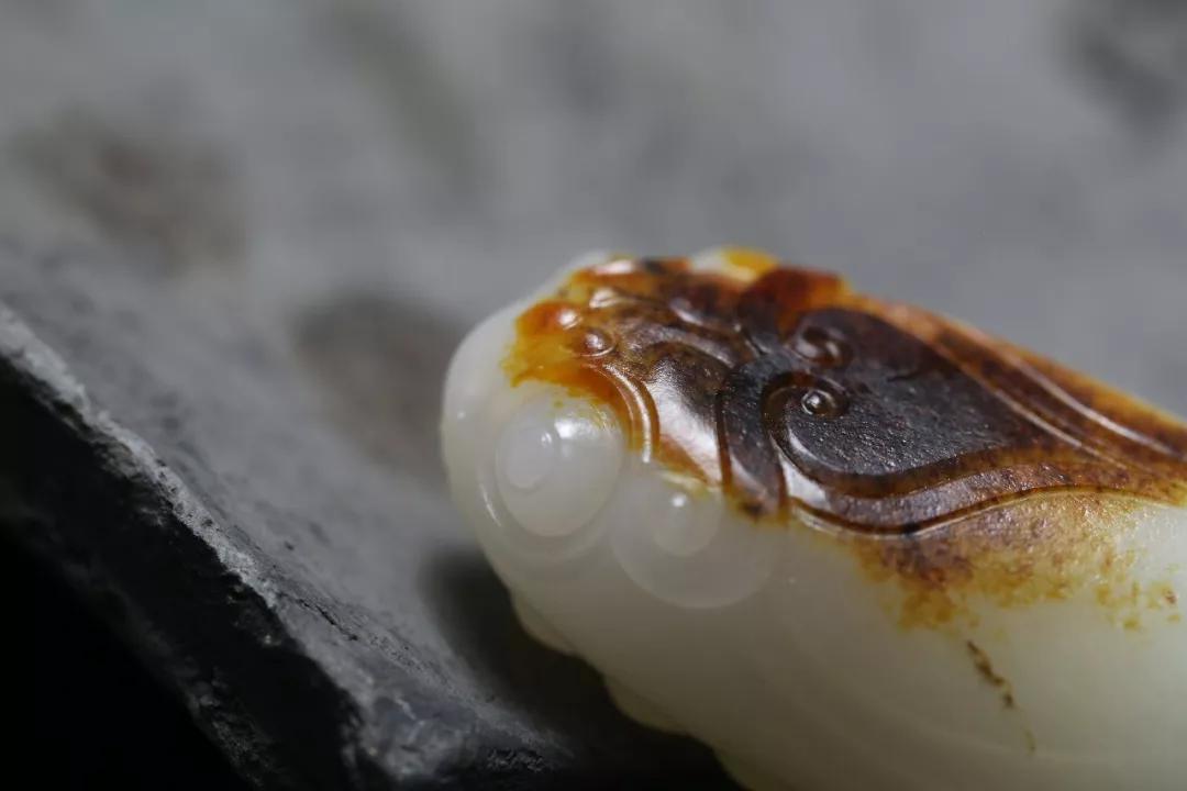 玉雕大师手里的黑青籽料,籽料皮色彰显玉雕灵气