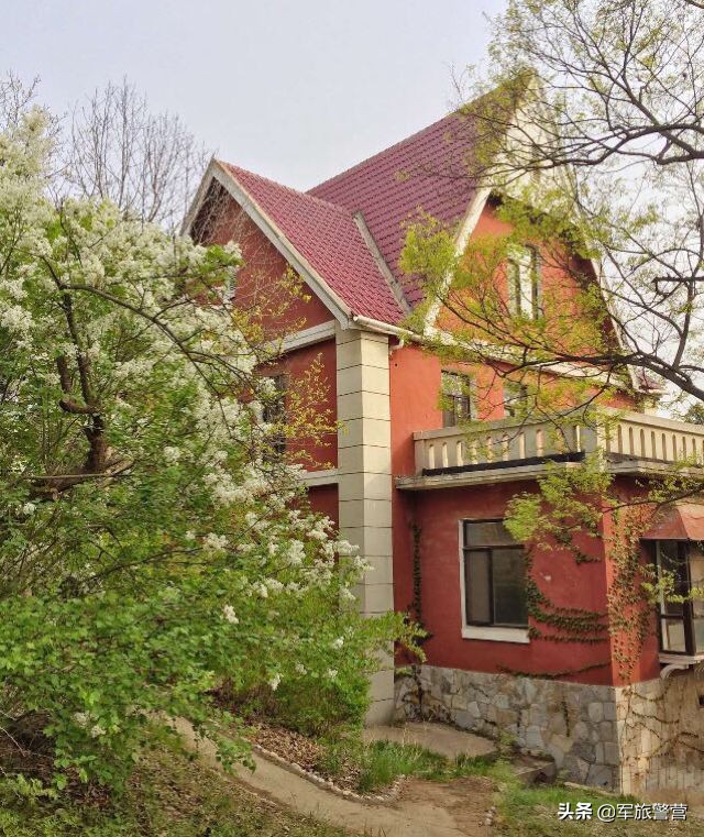 大连八七疗养院战友,大连市八七疗养院的故事